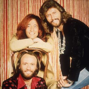 Bee gees