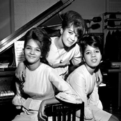 The ronettes